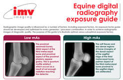 Equine Digital Radiography Exposure Guide