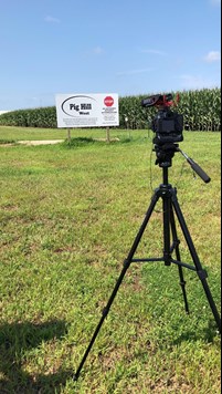 Pig hill shoot
