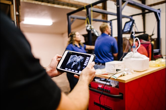 Scanning in action