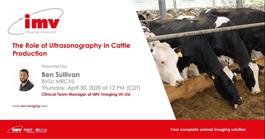 Bovine webinar