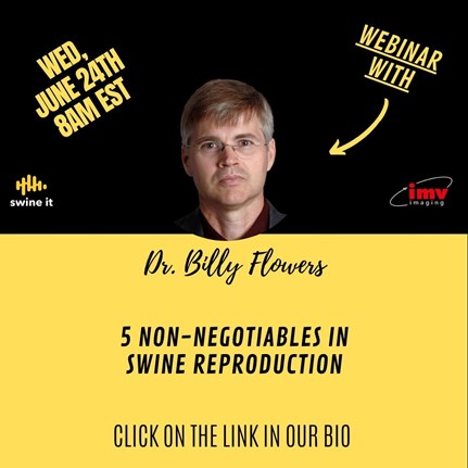 SwineIt Webinar