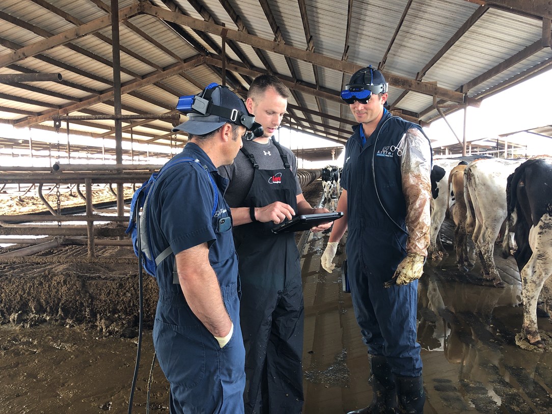 Wireless cow ultrasound