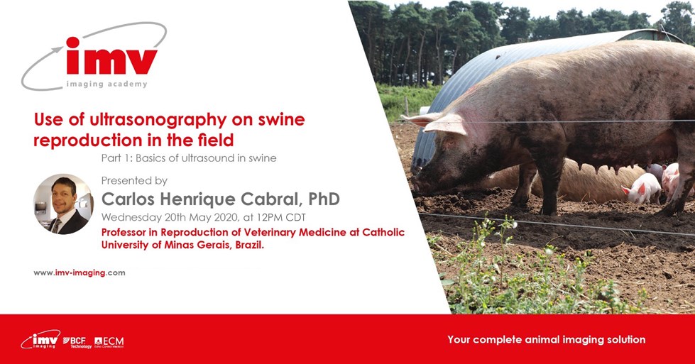 Swine Webinar