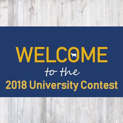 2018 university contest