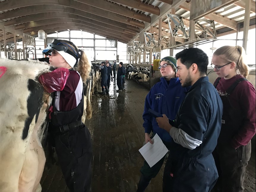 Cornell wet lab