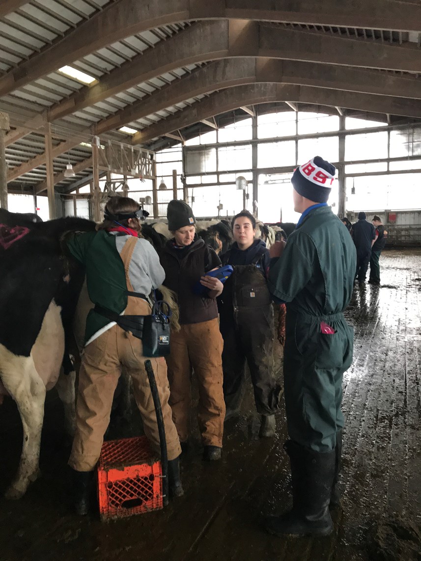Cornell wet lab