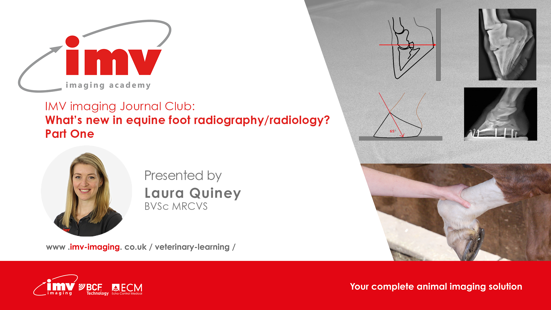 P1 What’s new in equine foot radiography