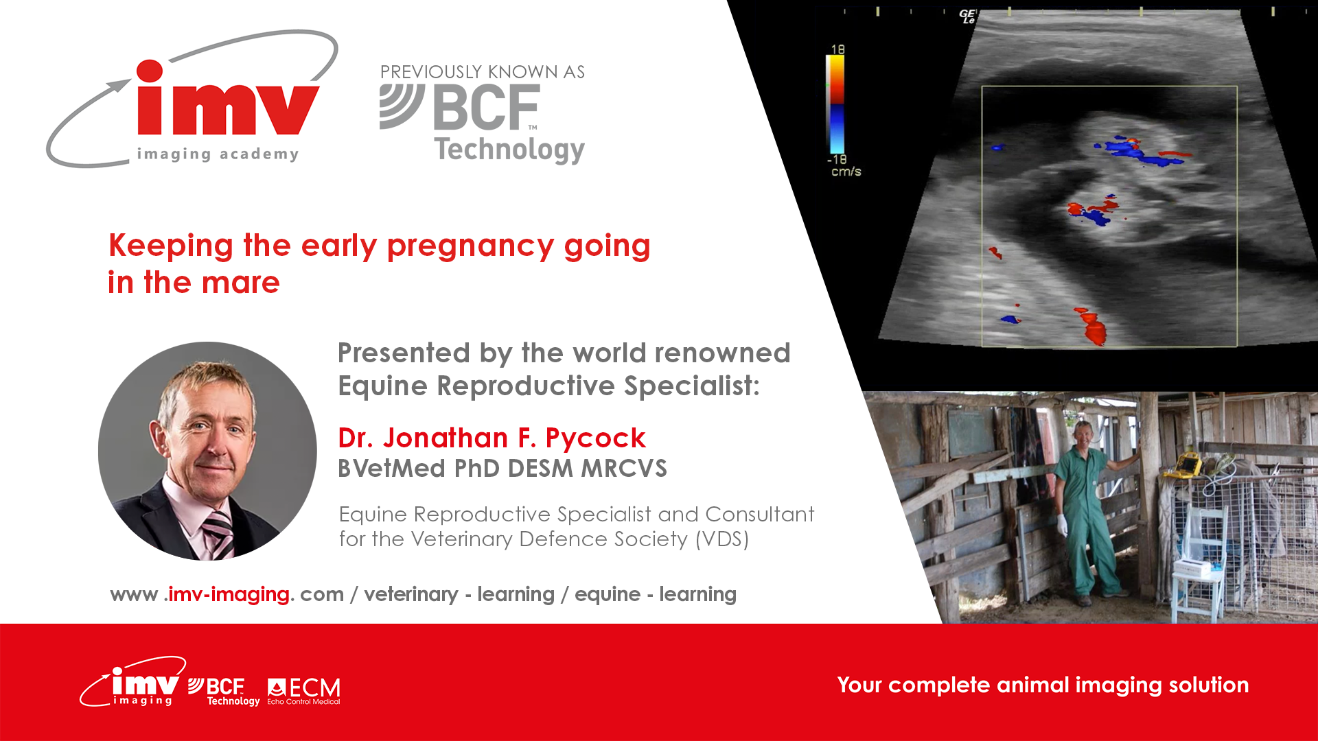 equine webinarPycock Webinar Equine Keeping the early pregnancy going in the mare BCF