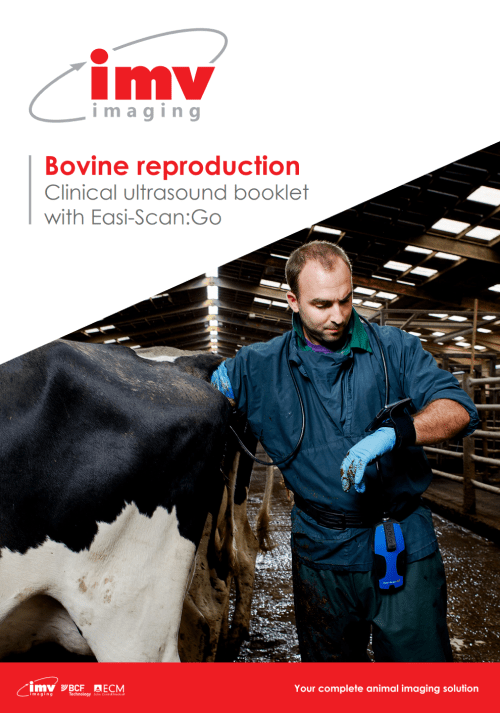 Bovine Reproduction